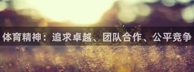 vsport体育官方正版app集团官网首页网址:体育精神:追